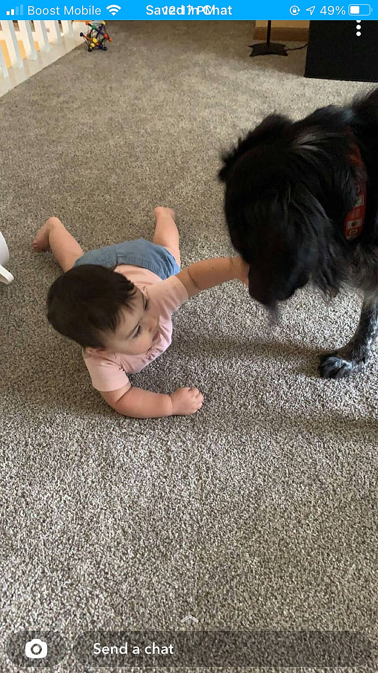 Aliyah-maria joined the competition — help win amazing prizes! asphalt, baby, barefoot, carnivore, child, companion_dog, dog, dog_breed, flooring, foot, fur, grass, hairstyle, human_leg, person, sidewalk, sitting, t_shirt, tail, toddler