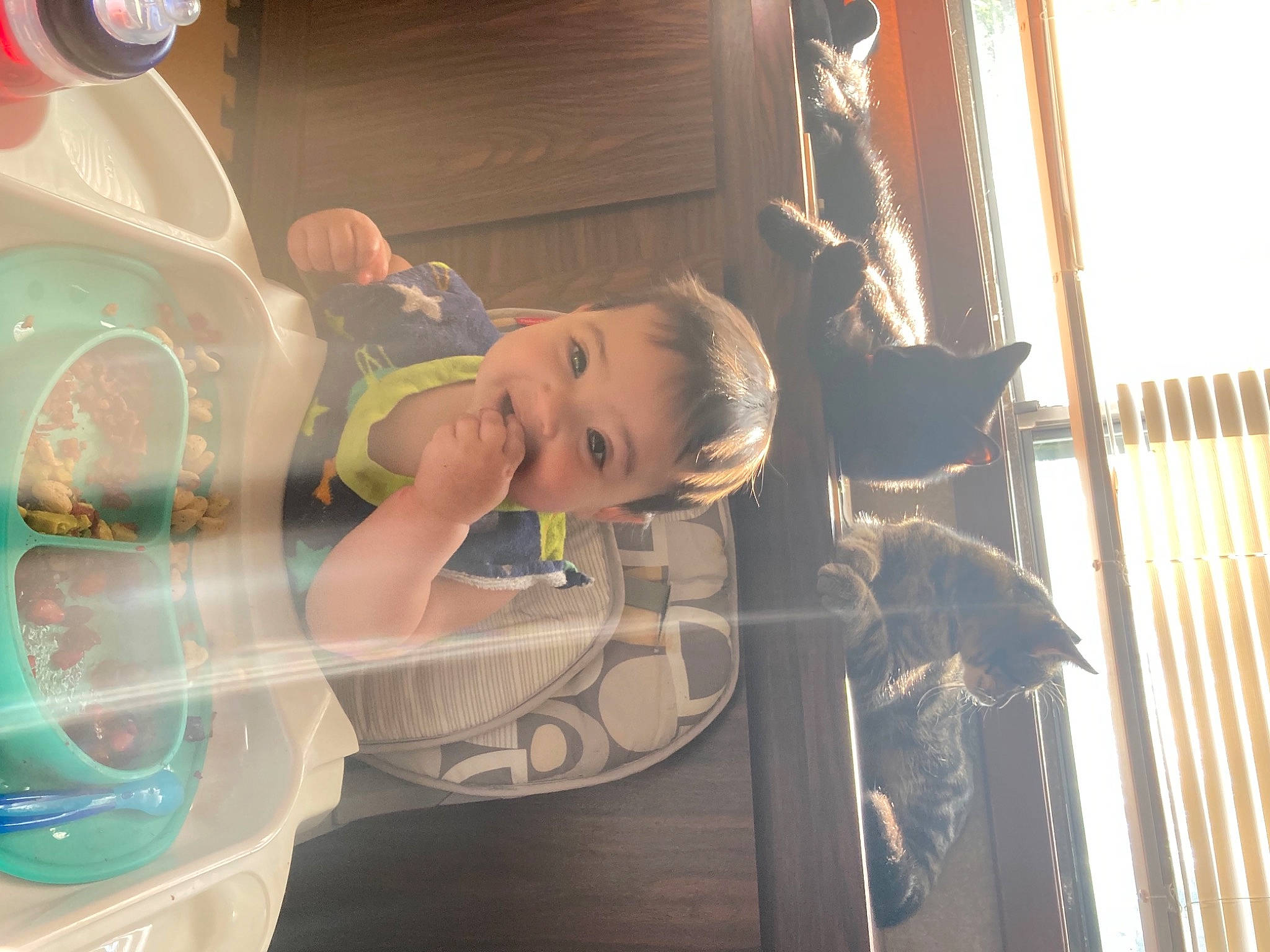 Aliyah-maria is registered to the contest to win money with this photo: auto_part, automotive_design, automotive_exterior, automotive_lighting, automotive_wheel_system, baby, child, fun, glass, happy, leisure, motor_vehicle, person, reflection, room, skin, smile, t_shirt, toddler, vehicle_door