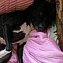 Diesel Duvball joined the competition — help win amazing prizes! dog, black_and_white, blanket, pink, cushion, resting, indoors, pet, fur, relaxed, comfort, cozy, lying_down, animal, snout, ears, paw, sleepy, home, companion