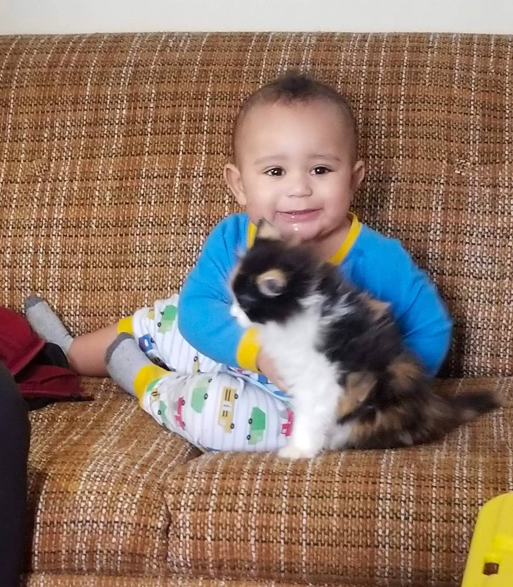 Justice is registered to the contest to win money with this photo: baby, baby_toddler_clothing, carnivore, cat, child, comfort, companion_dog, felidae, fur, happy, joy, lap, pattern, person, sitting, sleeve, small_to_medium_sized_cats, smile, textile, toddler