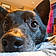 Charlie