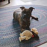 dog, brindle, plush_toy, rug, indoor, floor, toy, pet, animal, carpet, domestic, cozy, natural_light, relaxed, mammal, home, curious, fur, collar, laying_down