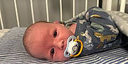 Leo is registered to the contest to win money with this photo: baby, infant, crib, pacifier, blanket, striped, onesie, animal_print, sleepwear, face, head, eyes, bed, nursery, cute, child, indoors, resting, soft_lighting, newborn