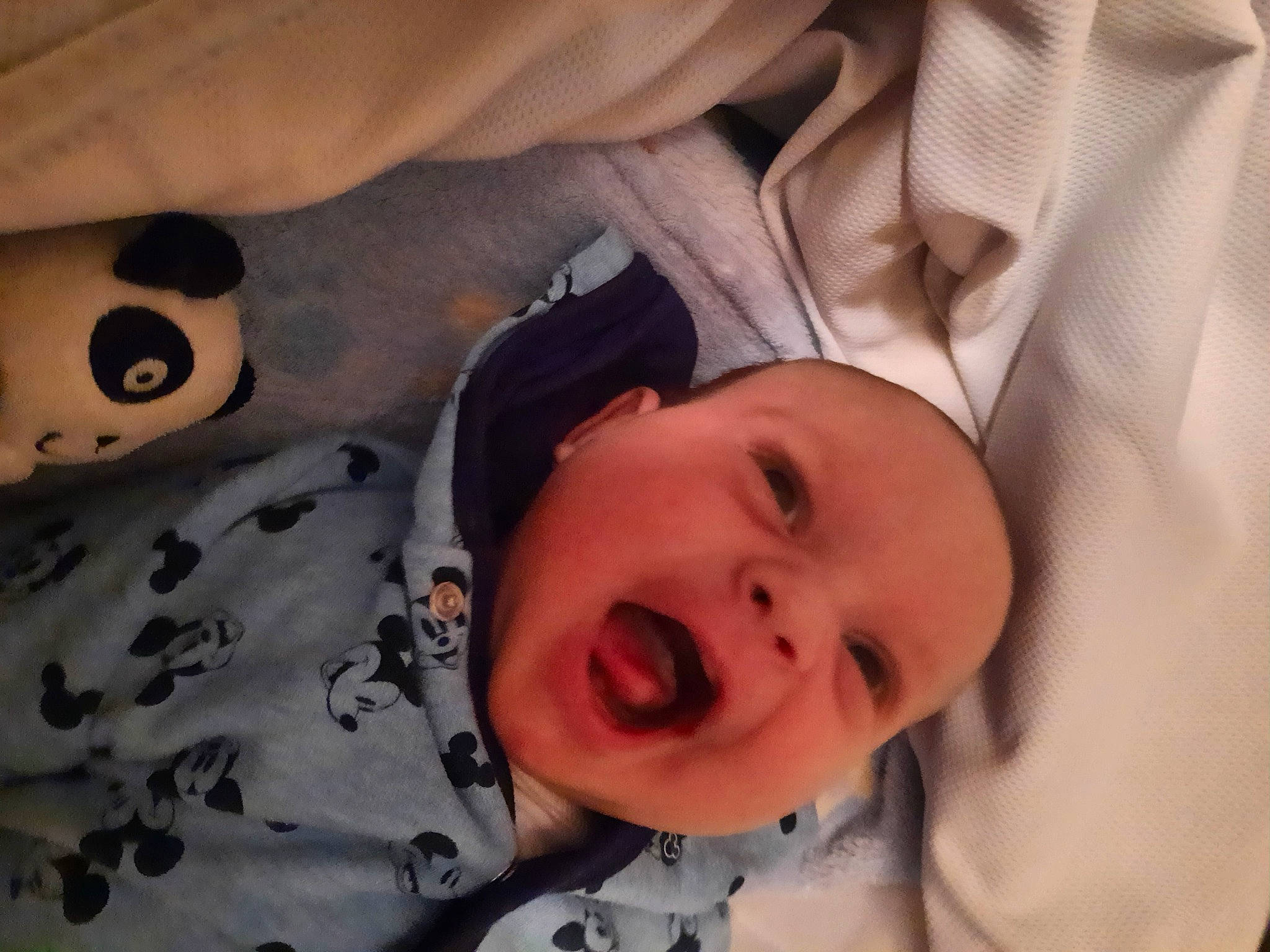 Milhan participe au concours pour gagner de l'argent avec cette photo : baby, baby_products, baby_safety, baby_toddler_clothing, bedtime, cheek, child, comfort, happy, headwear, linens, nose, pattern, person, room, skin, sleeve, smile, toddler, white