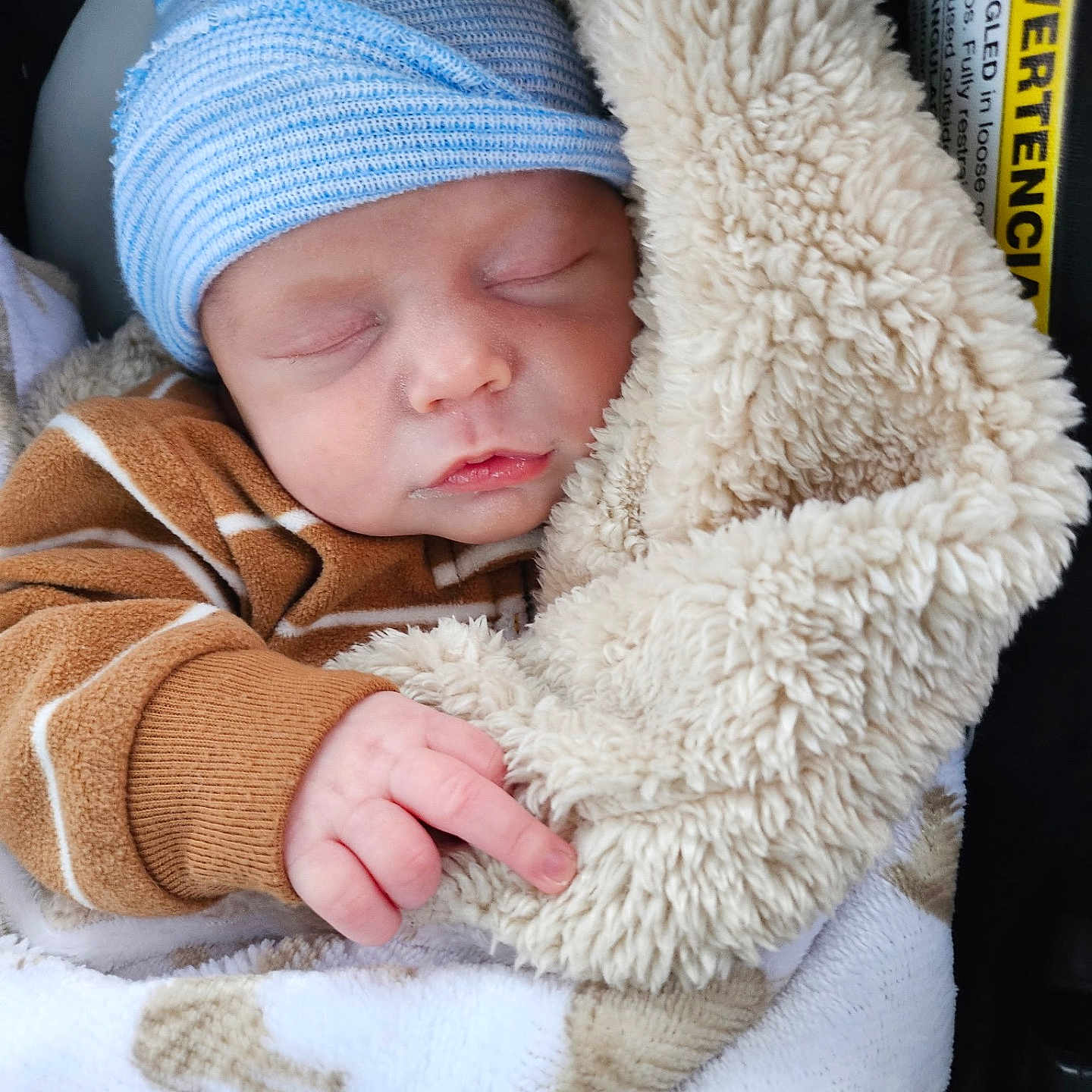 Waylon joined the competition — help win amazing prizes! baby, newborn, sleeping, blanket, hat, clothing, hand, infant, cozy, warm, soft, cute, child, face, portrait, resting, wrapped, striped, fuzzy, peaceful