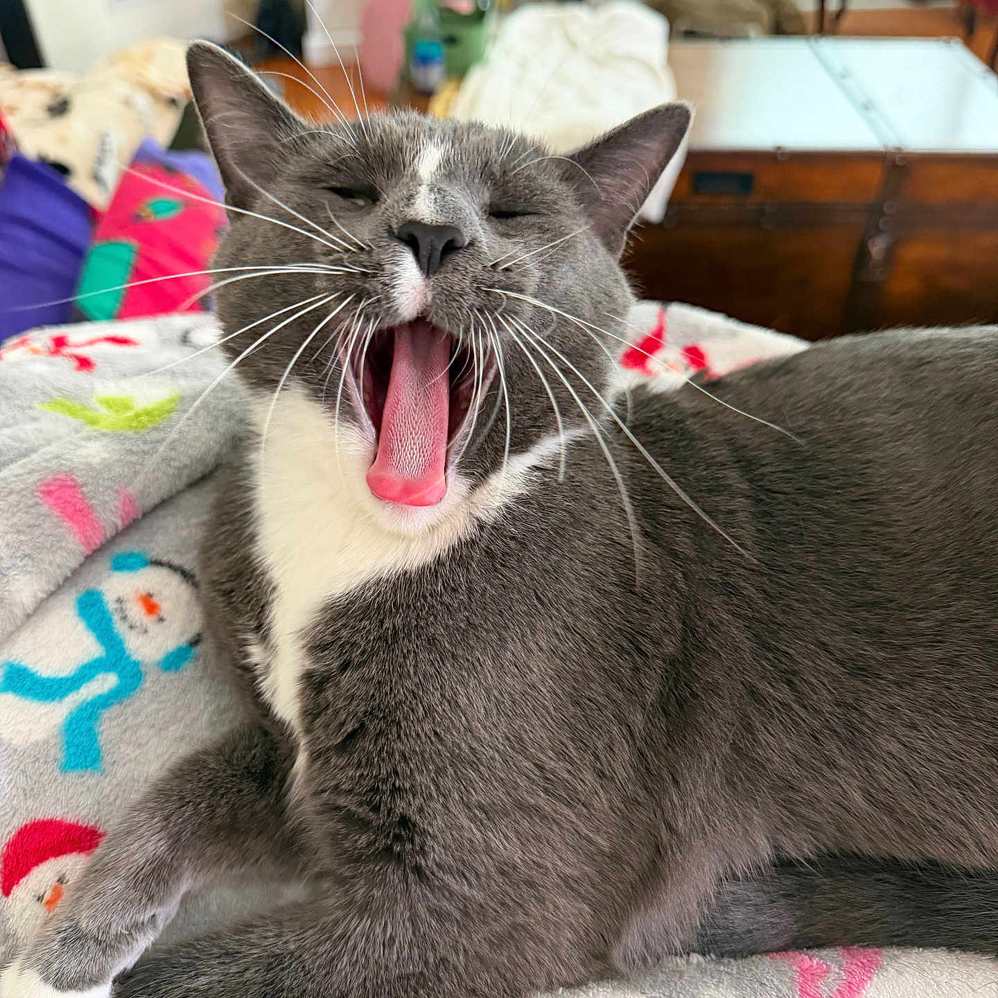 Moses