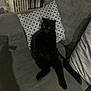 black_cat, cat, couch, pillow, indoor, shadow, relaxed, pet, feline, gray, patterned_pillow, animal, furniture, home, cozy, sitting, lazy, domestic_cat, resting, living_room