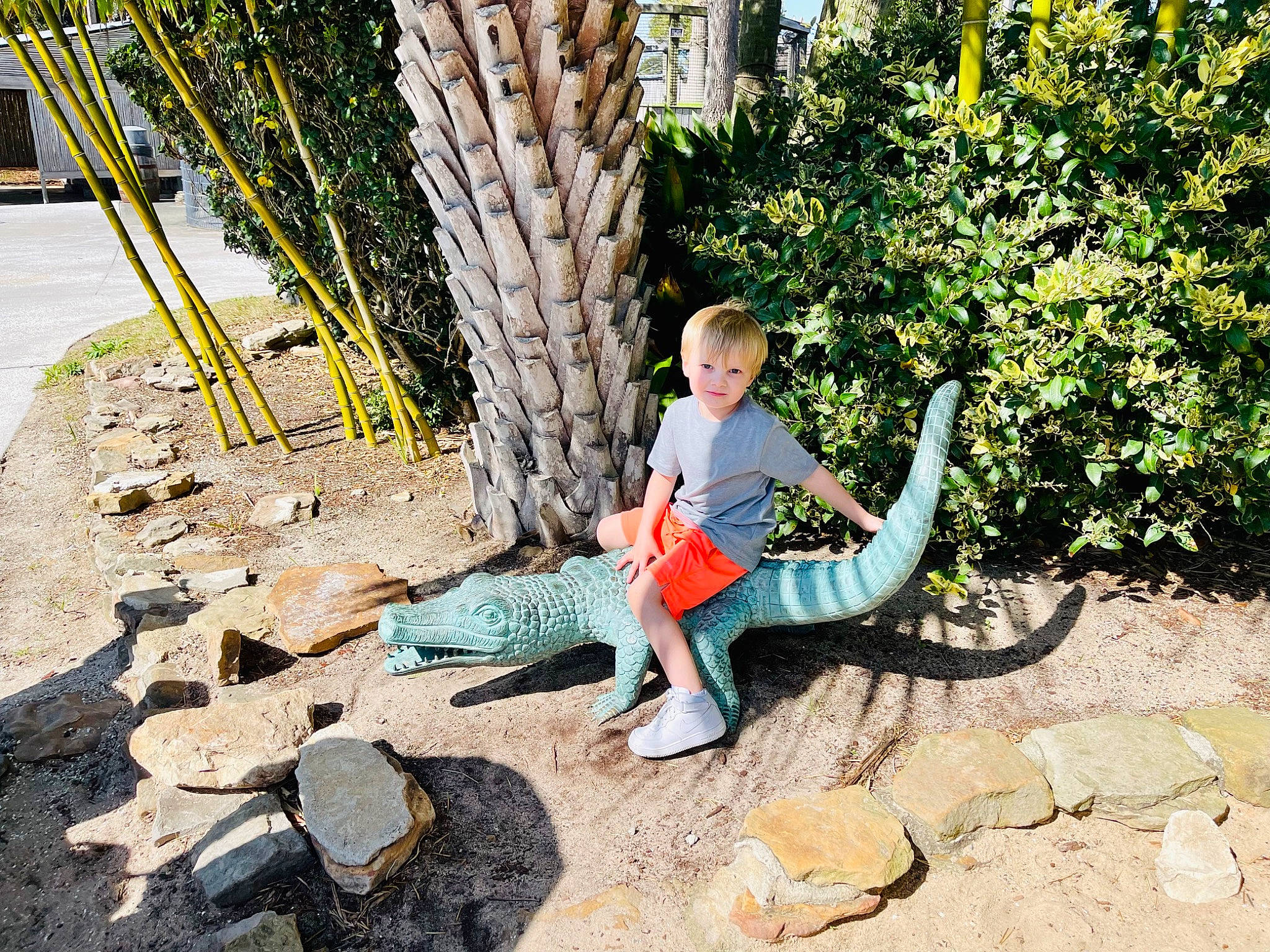 Aj is registered to the contest to win money with this photo: arecales, botany, fun, grass, human_body, landscape, landscaping, leaf, leg, leisure, people_in_nature, person, plant, recreation, shorts, sitting, soil, travel, tree, trunk