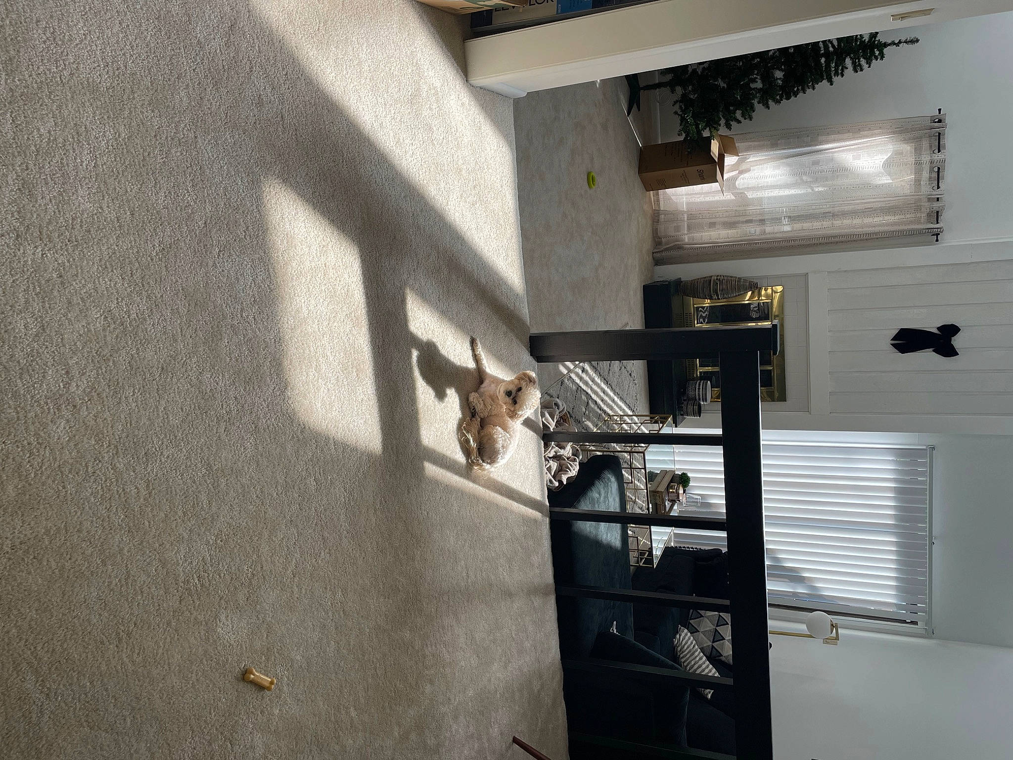 Mya is registered to the contest to win money with this photo: apartment, automotive_exterior, building, ceiling, composite_material, concrete, door, facade, floor, flooring, grey, handrail, hardwood, house, interior_design, metal, plaster, stairs, window, wood