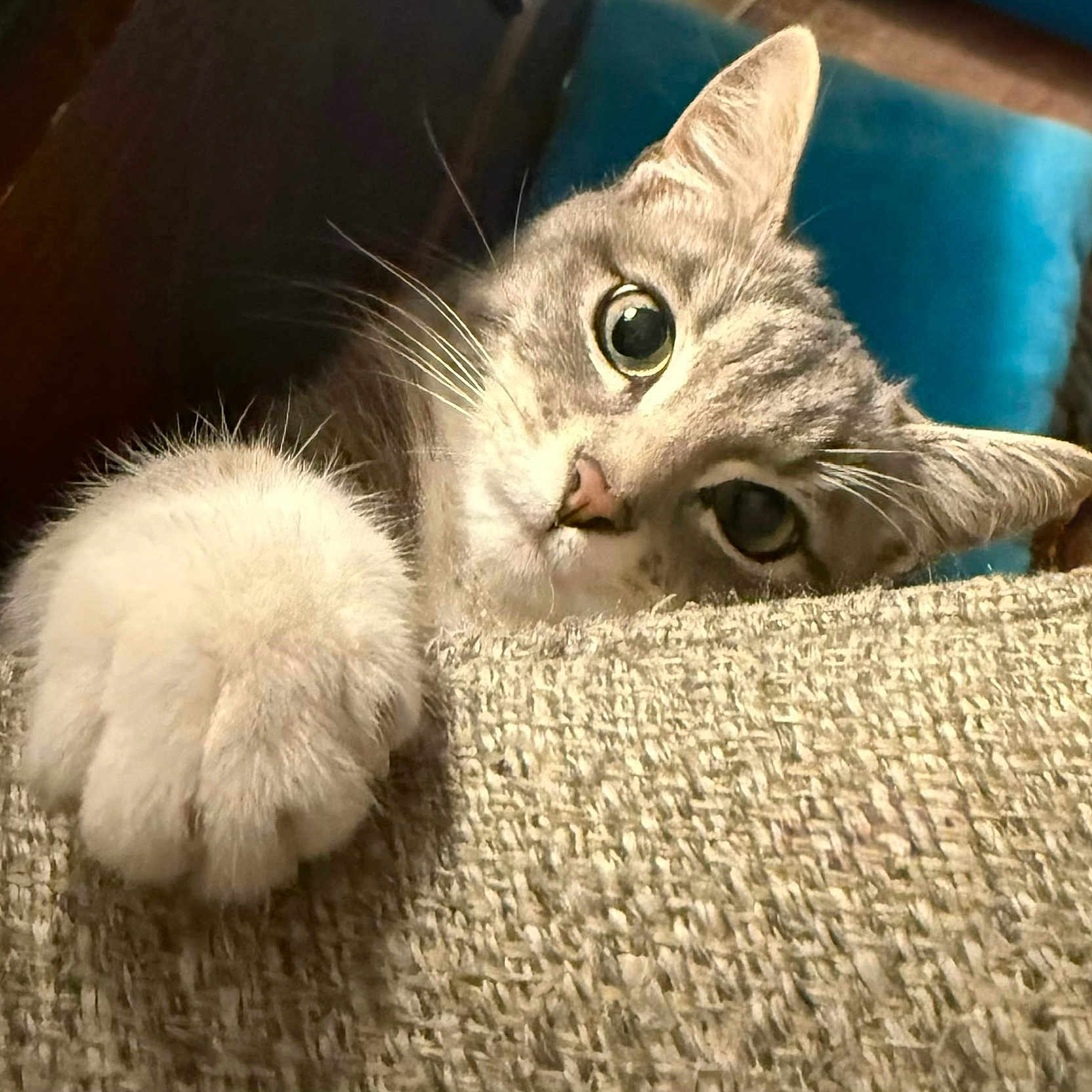 Mia