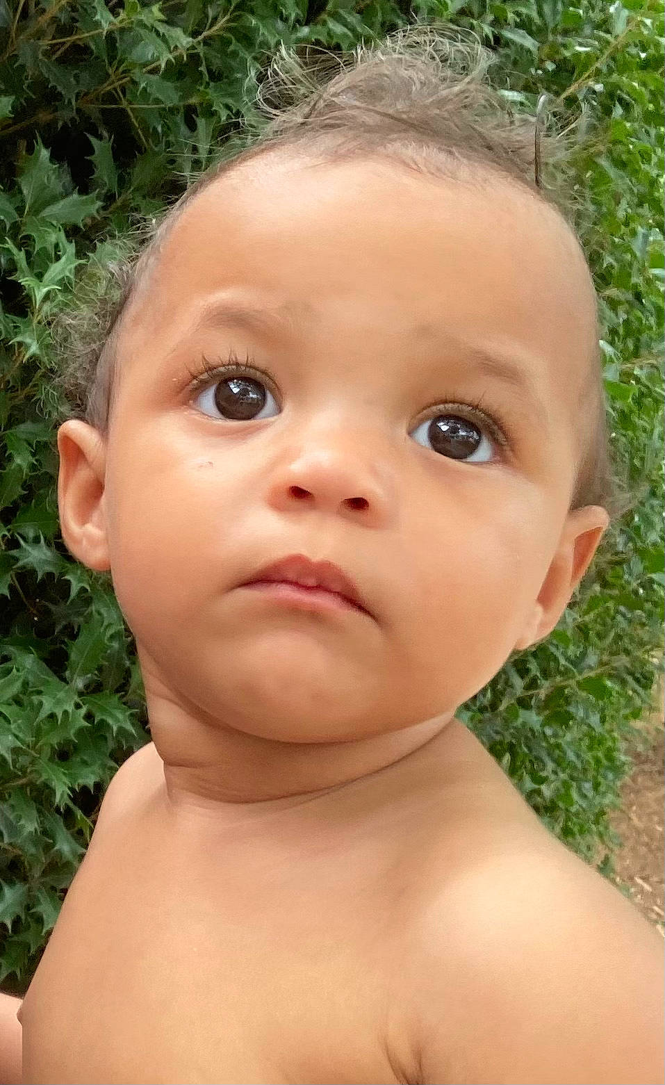 Rosalina is registered to the contest to win money with this photo: baby, cheek, chest, child, chin, close_up, eyebrow, eyelash, grass, iris, lip, neck, no_expression, nose, people_in_nature, person, plant, skin, throat, toddler