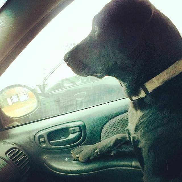 Rocksey joined the competition — help win amazing prizes!