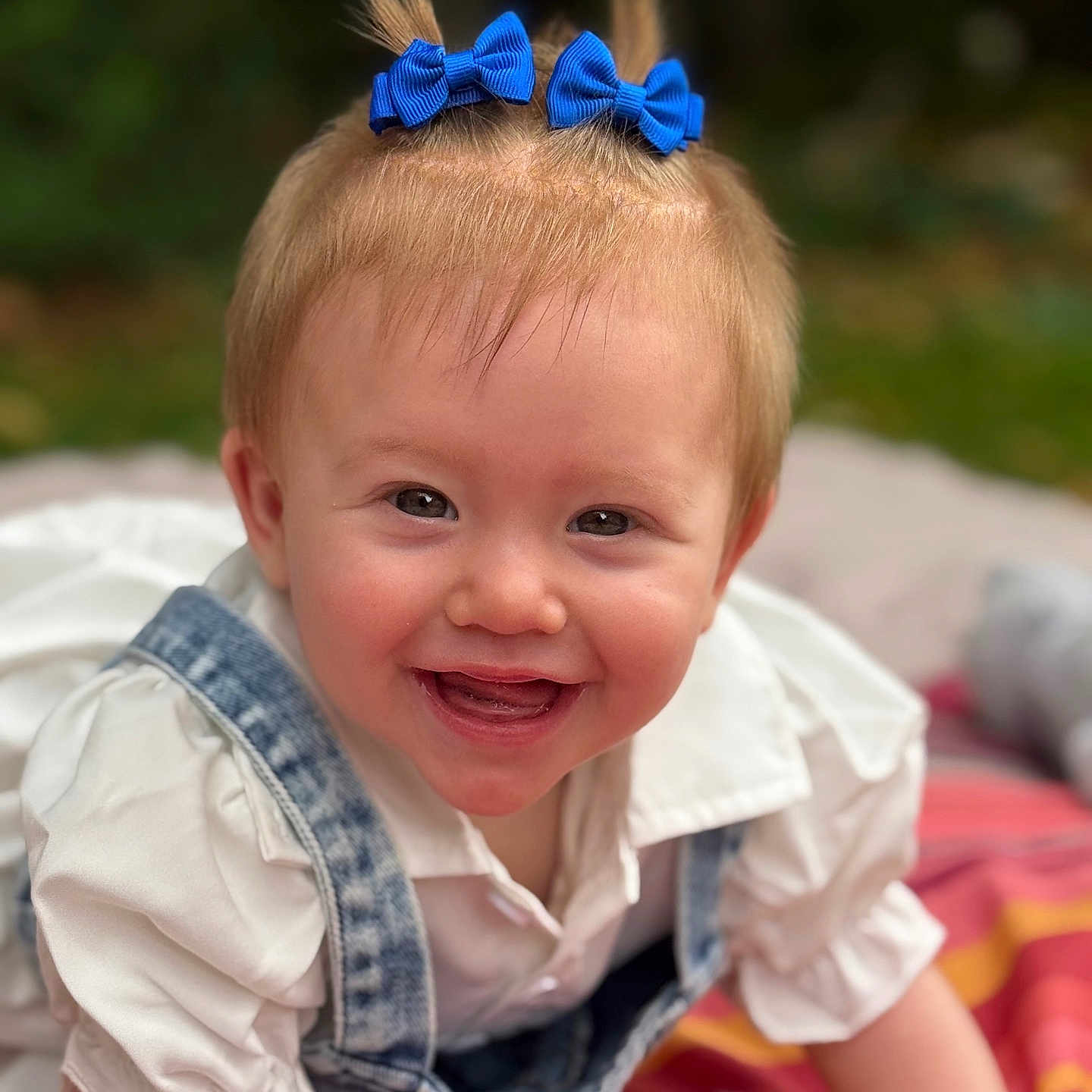 Camilia participe au concours pour gagner de l'argent avec cette photo : baby, blanket, blue_bows, child, crawling, cute, denim_overalls, face, fun, grass, happy, head, infant, outdoor, person, playful, portrait, smiling, white_shirt, young_child