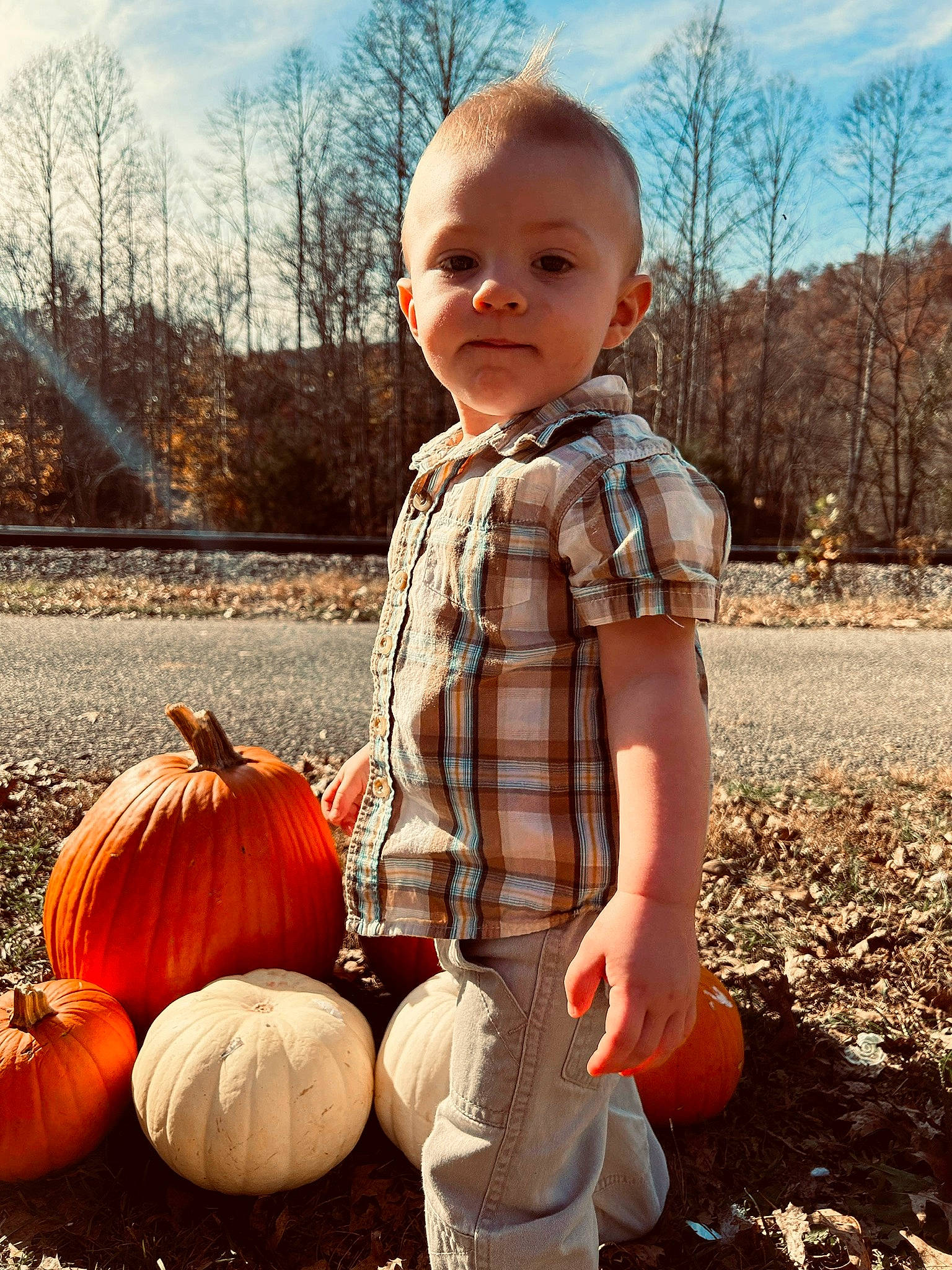Braylen is registered to the contest to win money with this photo: baby_toddler_clothing, calabaza, cloud, cucurbita, face, gourd, grass, happy, head, leaf, natural_foods, people_in_nature, person, plant, pumpkin, sky, smile, squash, tartan, winter_squash
