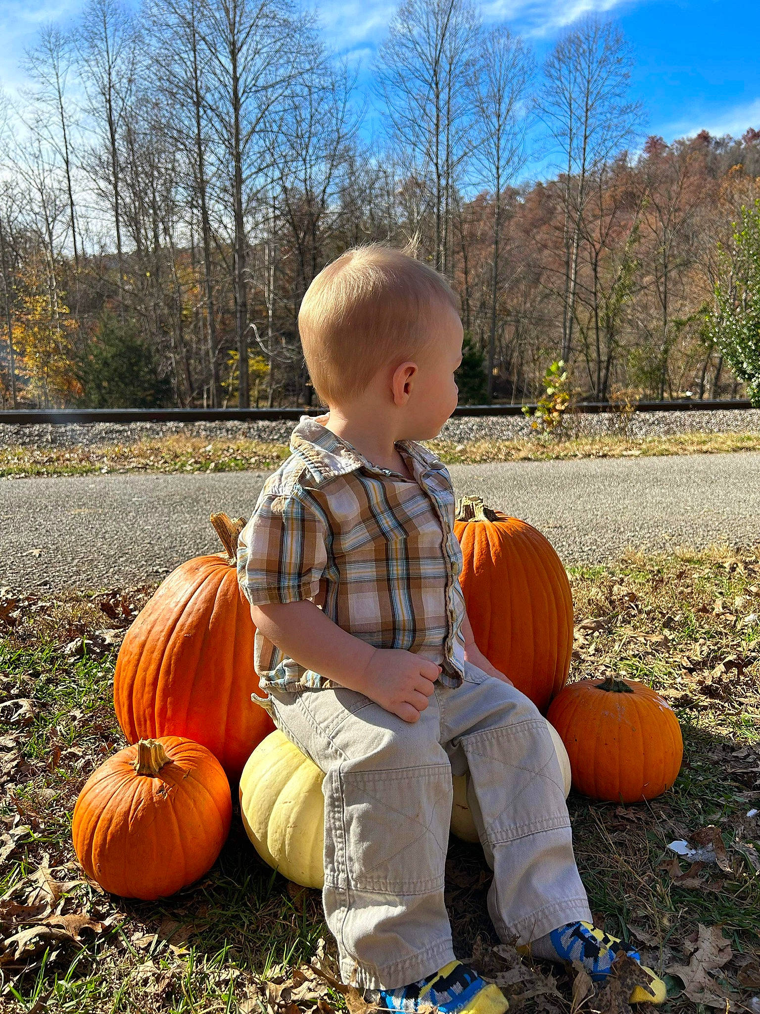 Braylen joined the competition — help win amazing prizes! calabaza, cloud, cucurbita, gourd, grass, happy, leaf, leg, natural_foods, people_in_nature, person, plant, pumpkin, sitting, sky, squash, toddler, tree, vegetable, winter_squash