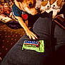 adult, animal, ball, candy, canine, clothing, couch, cushion, dog, food, furniture, homedecor, hound, male, man, pants, person, pet, puppy, sweets