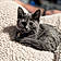 Bootsy
