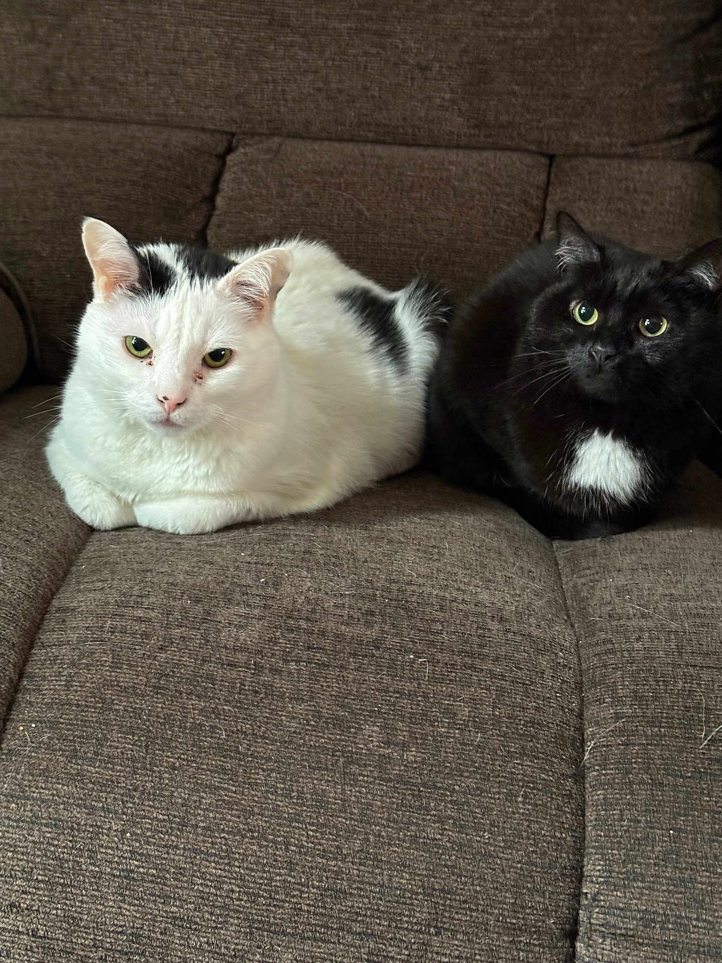 Zeus And Hera