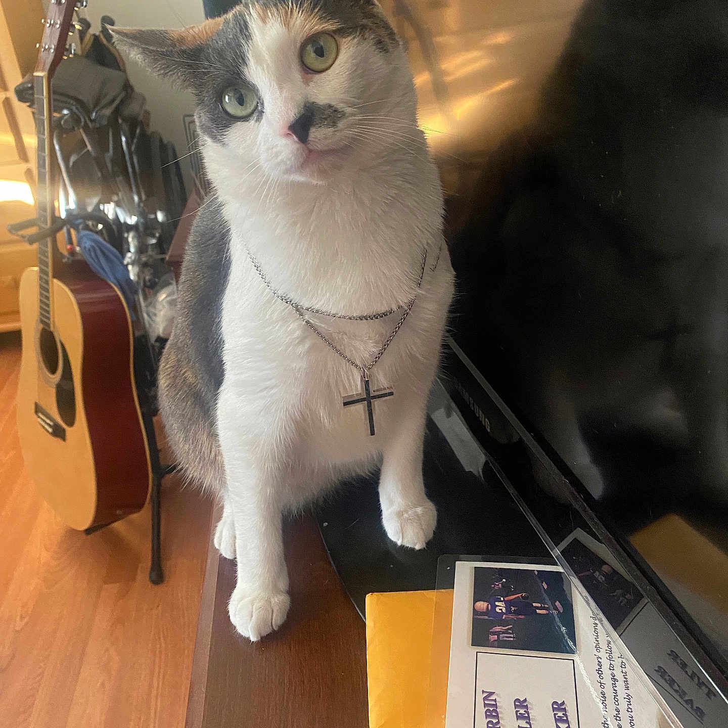 Bella