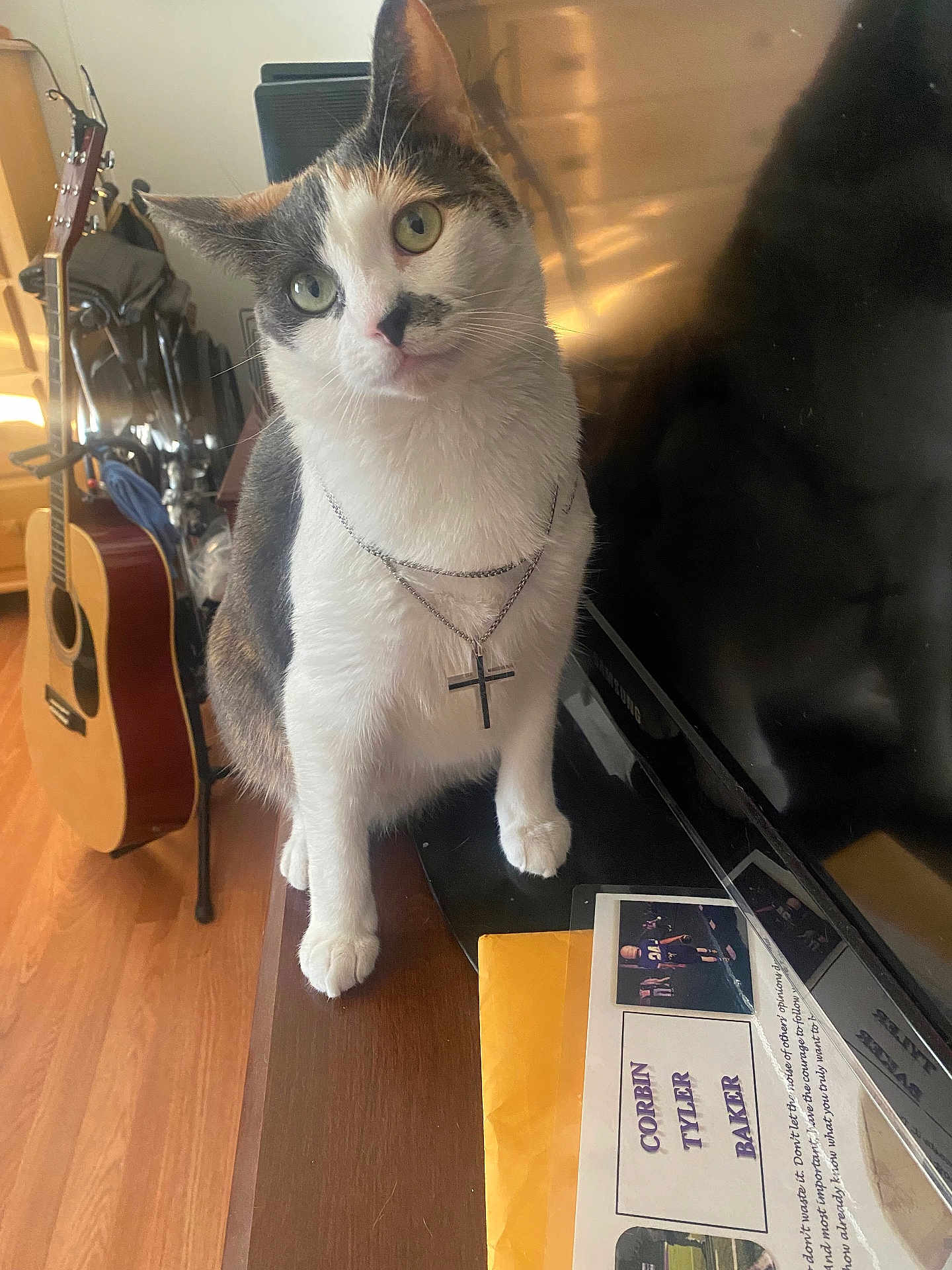 Bella