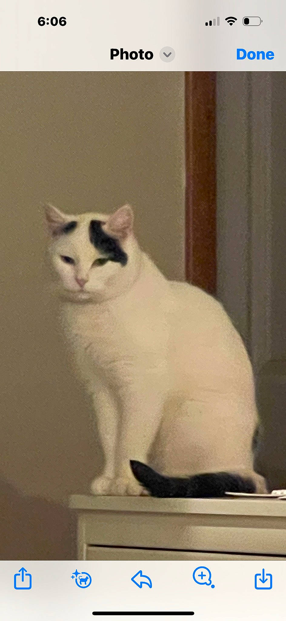 Keanu