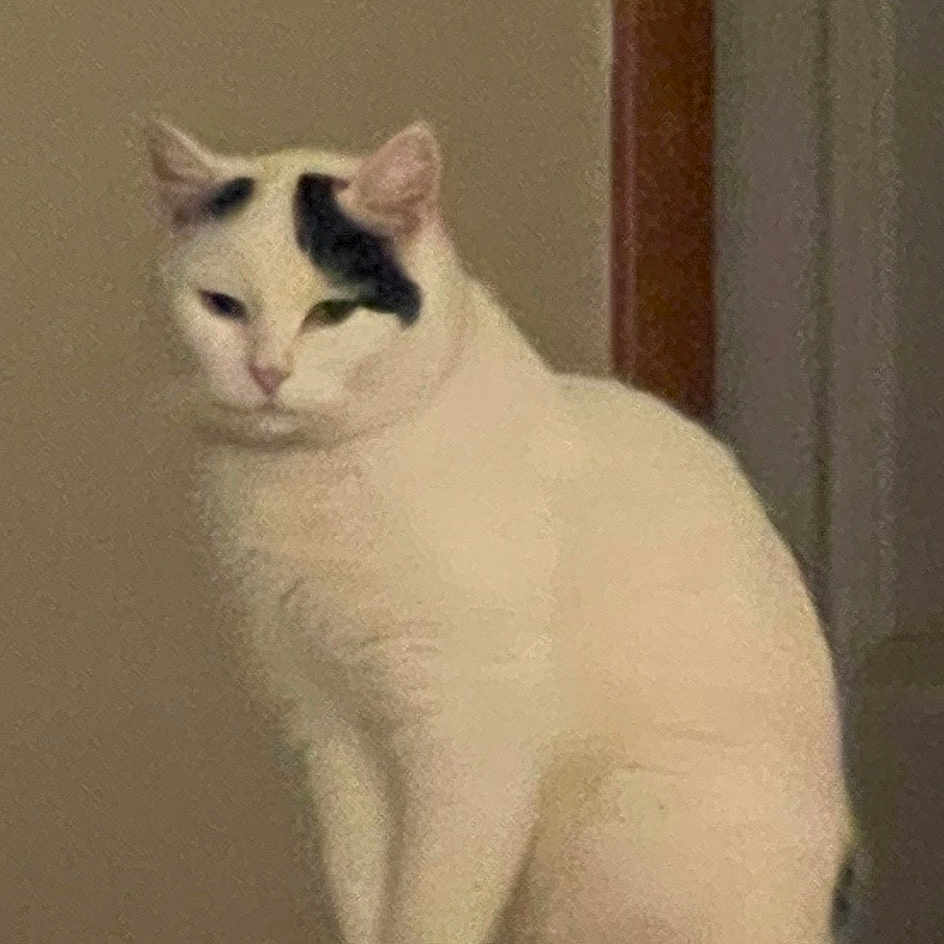 Keanu