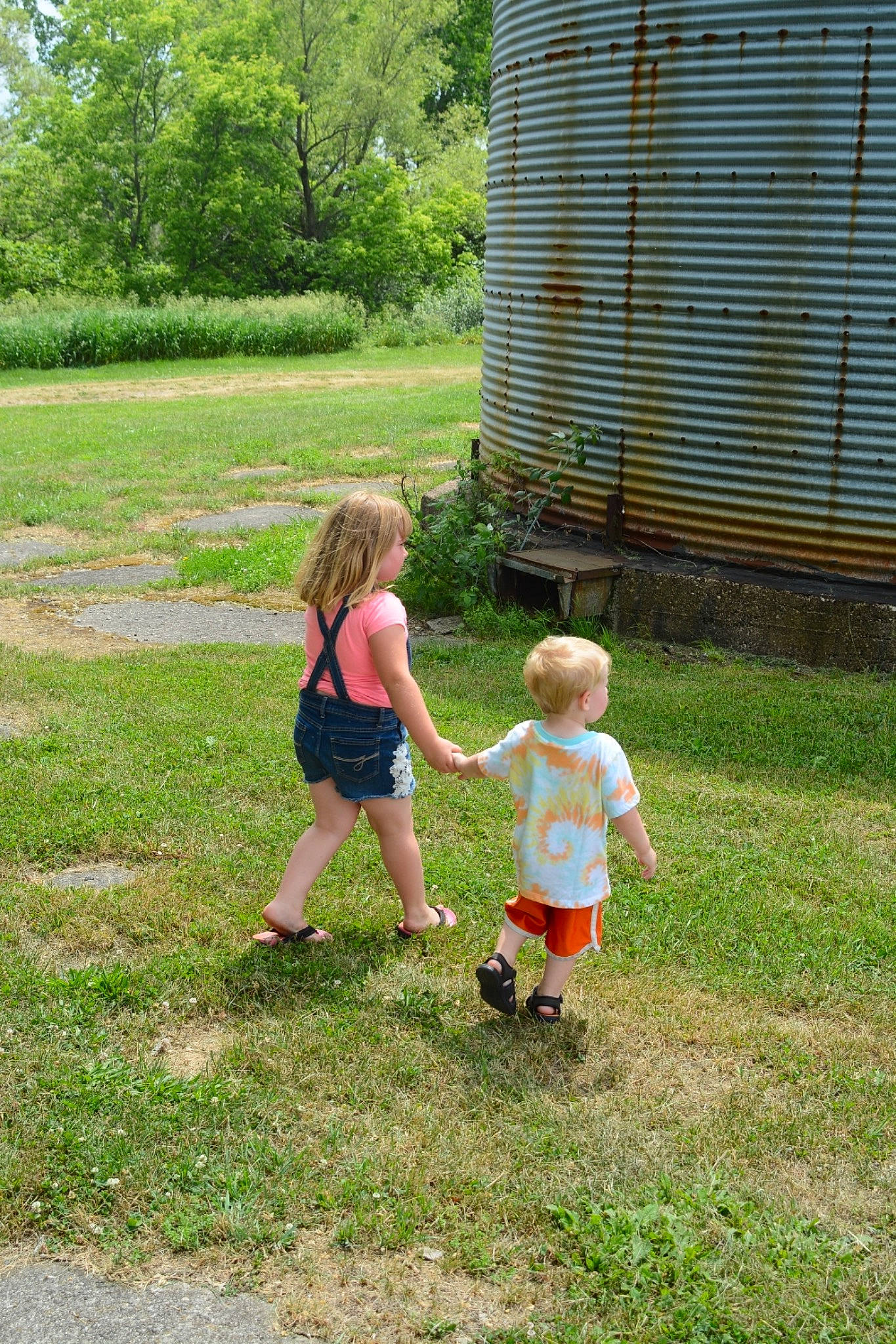 Sylar is registered to the contest to win money with this photo: baby_toddler_clothing, child, fun, garden, grass, grass_family, grassland, groundcover, landscape, lawn, leisure, meadow, people_in_nature, person, plant, recreation, sandal, shorts, shrub, toddler