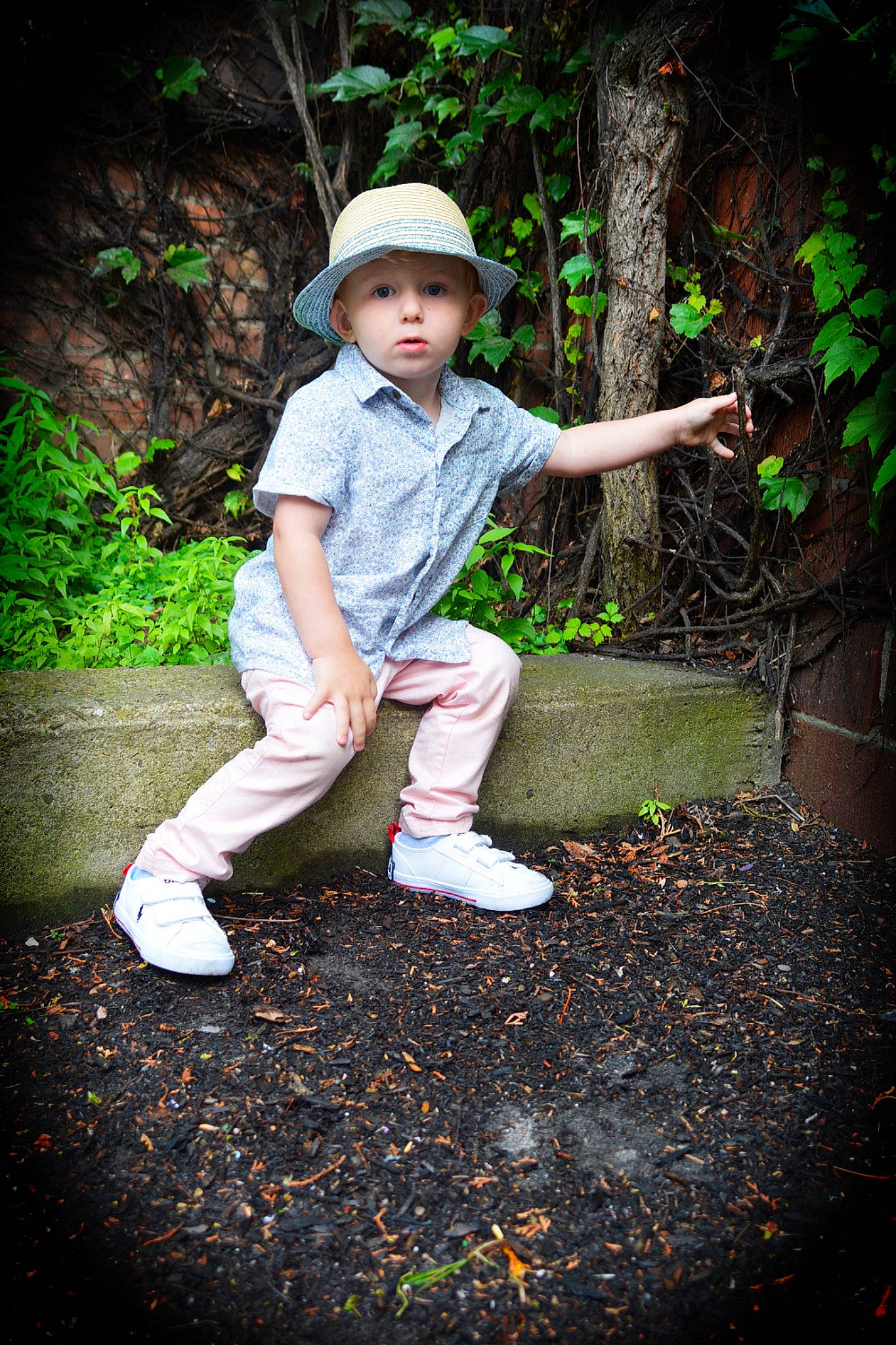 Sylar is registered to the contest to win money with this photo: botany, branch, cap, flash_photography, footwear, grass, green, happy, hat, headwear, leaf, leg, people_in_nature, person, plant, shoe, sneakers, standing, sunlight, toddler