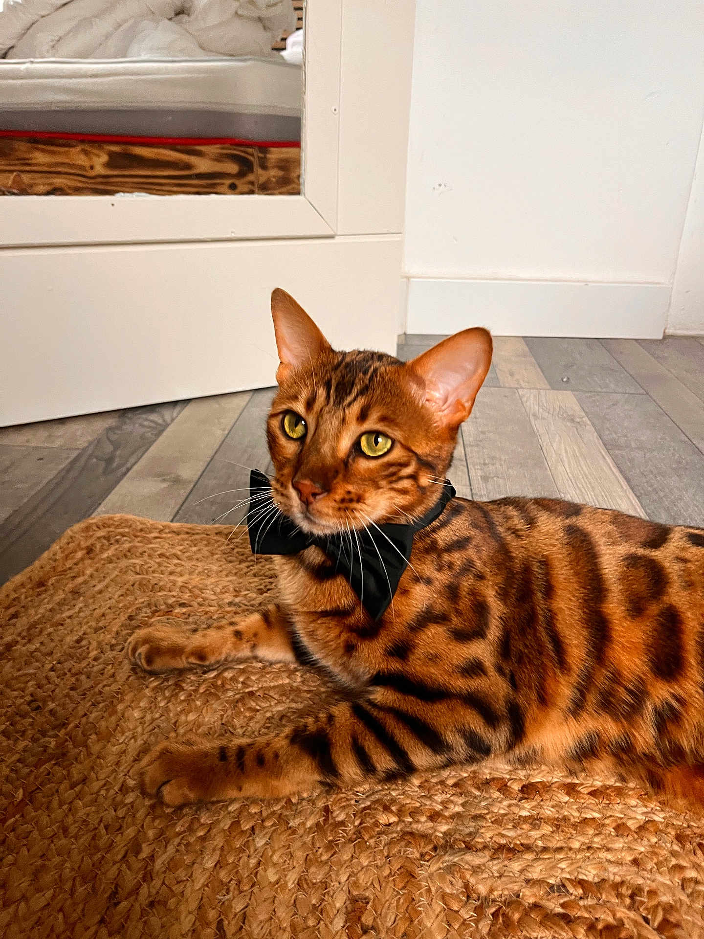 Simba
