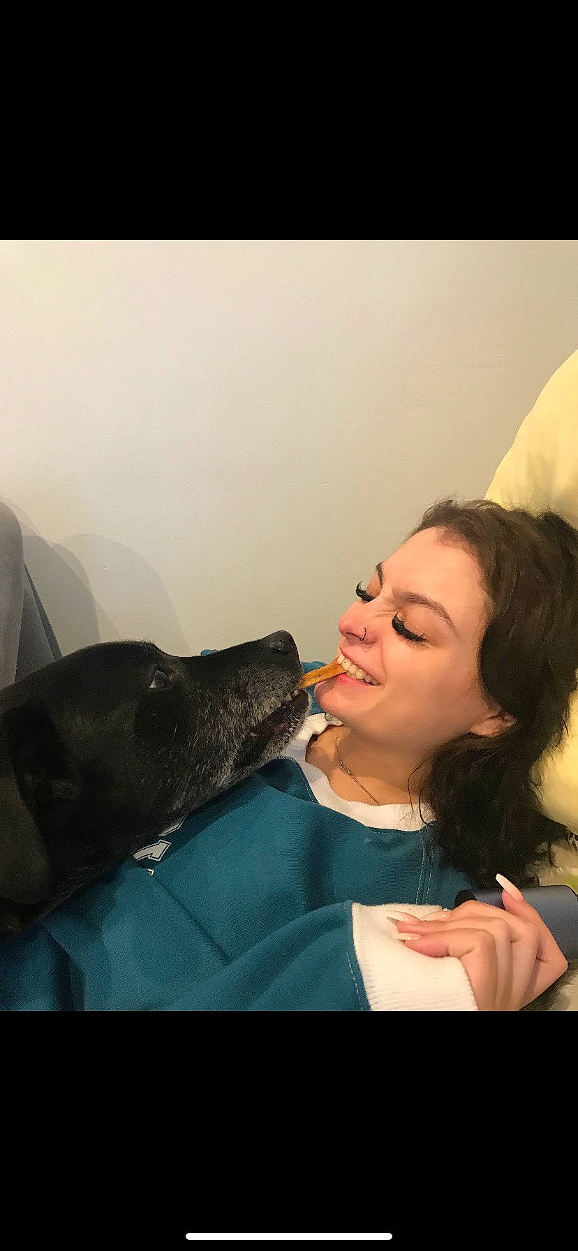 Rudy is registered to the contest to win money with this photo: carnivore, comfort, companion_dog, dog, dog_breed, ear, eyelash, flash_photography, fun, fur, gesture, guard_dog, happy, jaw, microphone, mouth, sitting, smile, sporting_group, whiskers