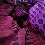 dog, blanket, polka_dots, purple, pink, fur, cozy, sleeping, pet, indoor, soft, pattern, resting, comfort, hidden, warm, snuggled, cute, animal, relaxation