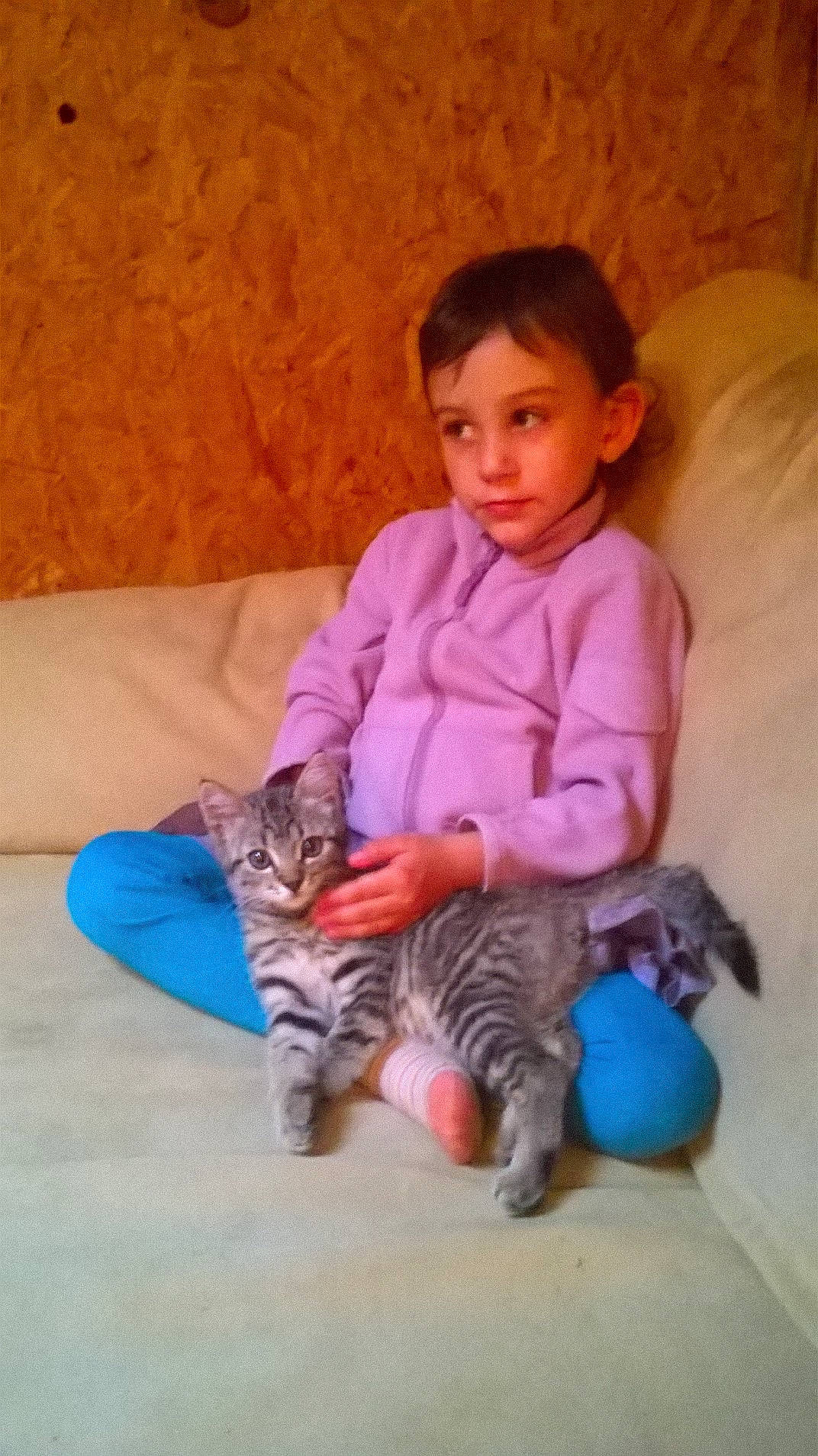 Méli participe au concours pour gagner de l'argent avec cette photo : baby, baby_toddler_clothing, carnivore, cat, child, comfort, domestic_short_haired_cat, fawn, felidae, flooring, fur, mammal, nose, pink, skin, sleeve, small_to_medium_sized_cats, toddler, toy, whiskers