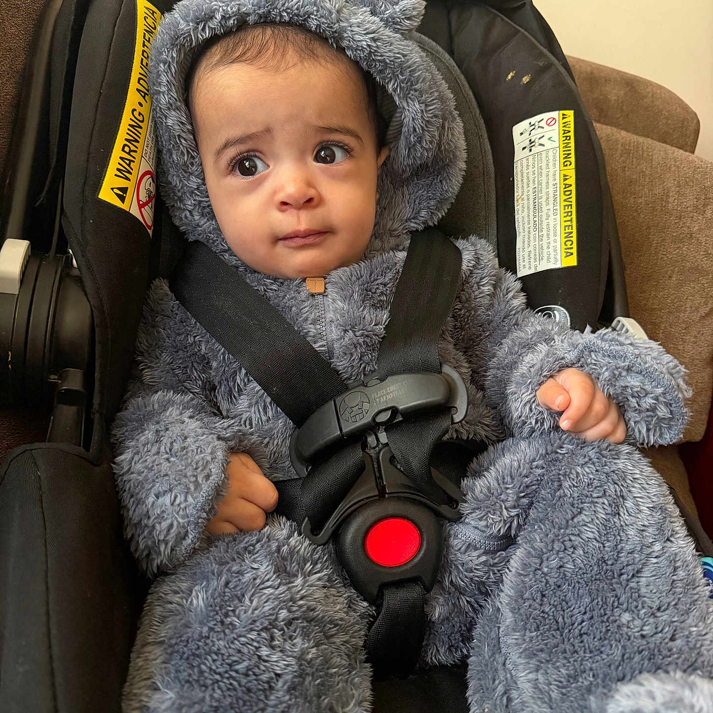 Maeen joined the competition — help win amazing prizes! baby, infant, child, car_seat, harness, safety_buckle, bear_suit, hood, fluffy_clothing, gray, portrait, face, eyes, looking_at_camera, sitting, indoors, couch, vehicle_seat, close_up, safe_travel