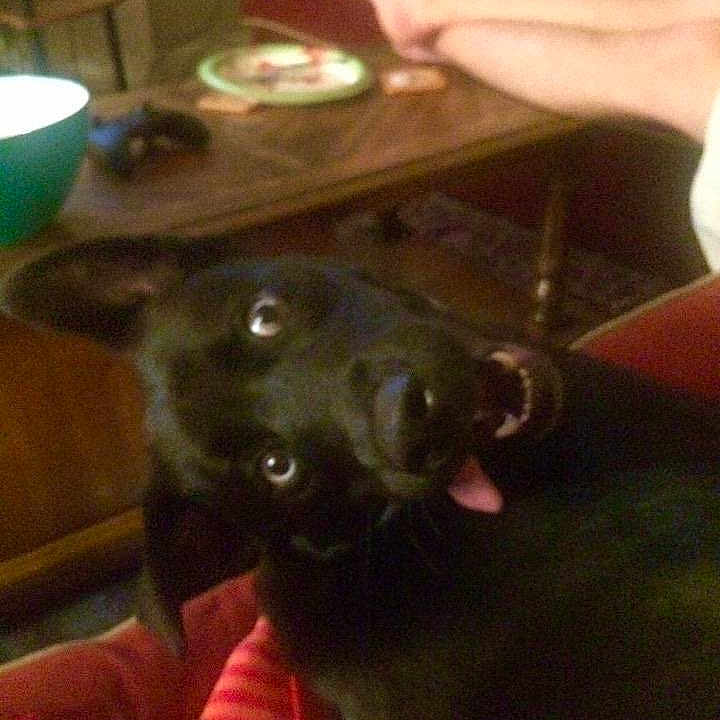 Carter is registered to the contest to win money with this photo: