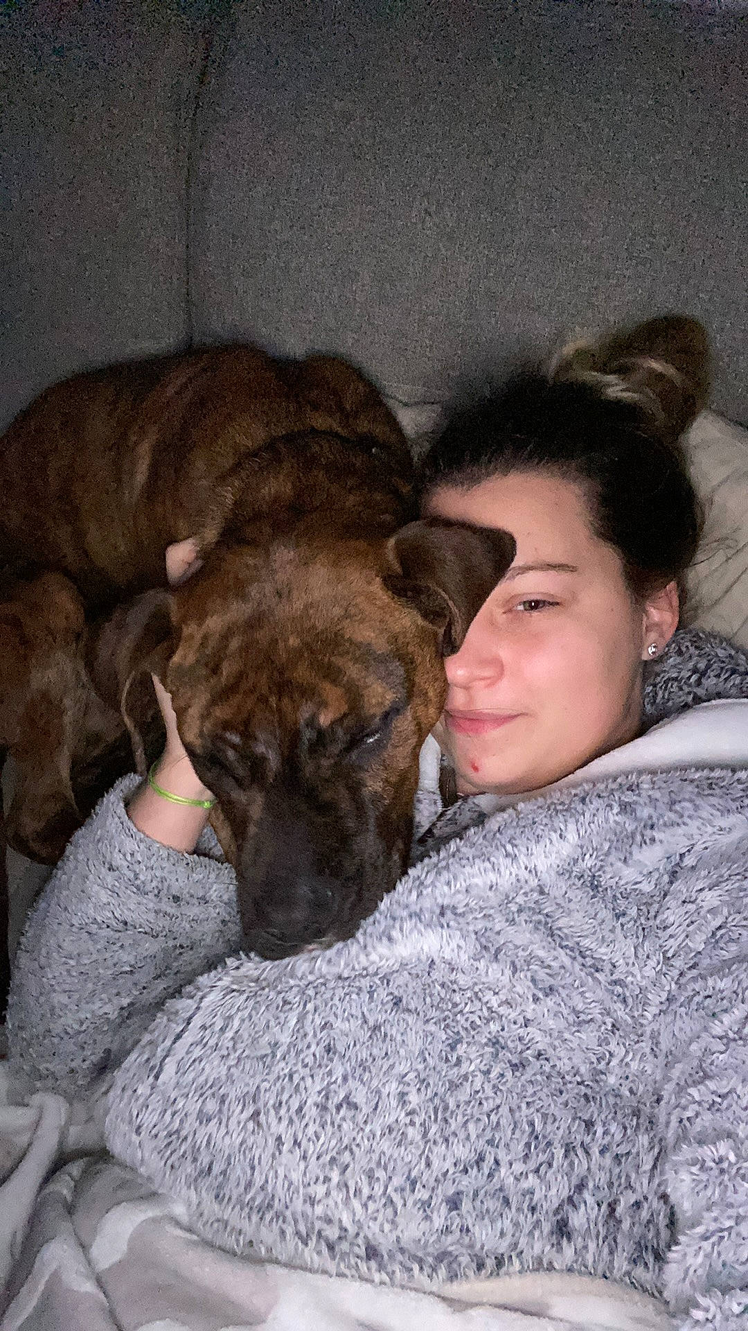 Sysko a rejoint le concours — aidez-le/la à gagner de superbes lots ! bored, canidae, carnivore, comfort, companion_dog, dog, dog_breed, ear, fawn, fur, guard_dog, nap, non_sporting_group, puppy, sleep, snout, sporting_group, terrestrial_animal, whiskers, wrinkle