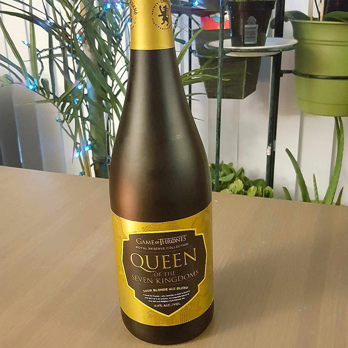 Terra is registered to the contest to win money with this photo: alcohol, alcoholic_beverage, beer, beer_bottle, bottle, champagne, distilled_beverage, drink, glass_bottle, liqueur, wine, wine_bottle