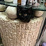 black_kitten, cat, planter, stone, indoor, curious, peeking, glass_shelf, household_items, candle, decor, flower_pattern, container, close_up, pet, cute, animal, fur, whiskers, eyes