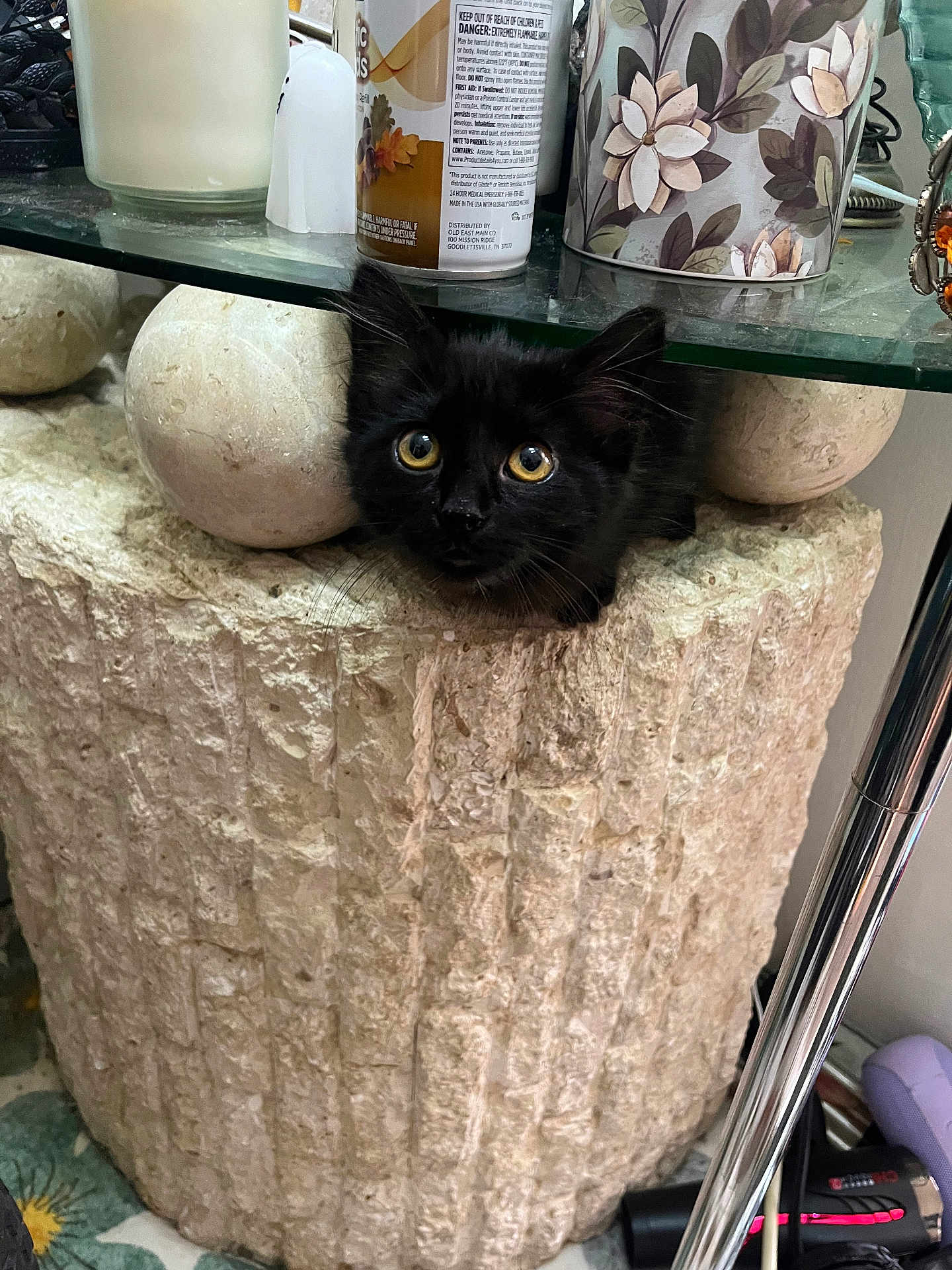 Vayda is registered to the contest to win money with this photo: black_kitten, cat, planter, stone, indoor, curious, peeking, glass_shelf, household_items, candle, decor, flower_pattern, container, close_up, pet, cute, animal, fur, whiskers, eyes
