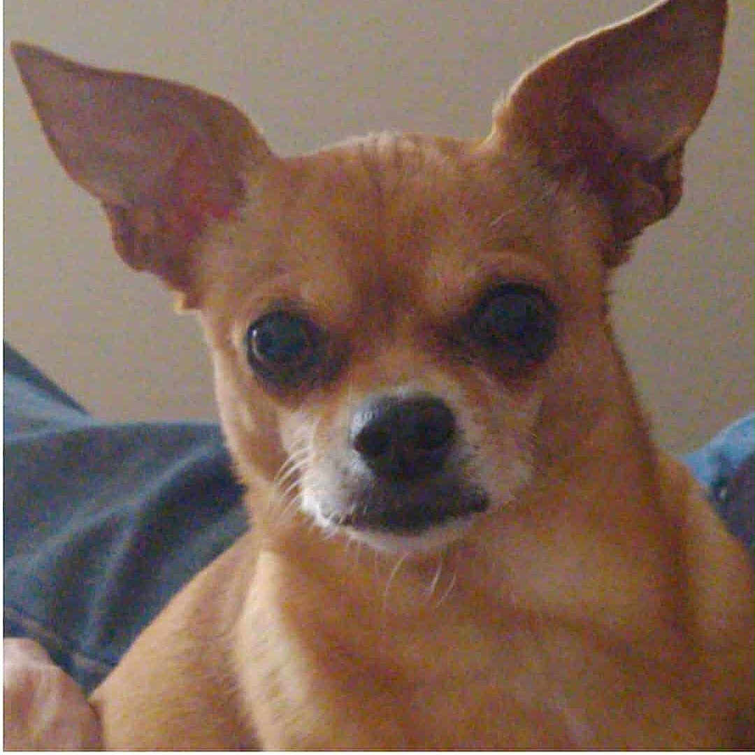 Mia Bella