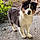Abby