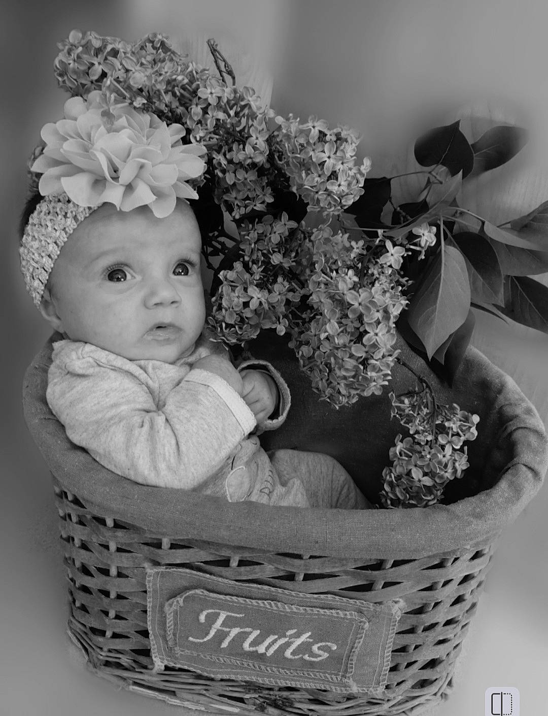 Hapril participe au concours pour gagner de l'argent avec cette photo : baby, baby_toddler_clothing, basket, child, costume_hat, cut_flowers, fashion_accessory, flowerpot, grass, happy, headpiece, headwear, houseplant, monochrome, monochrome_photography, person, plant, product, storage_basket, toddler
