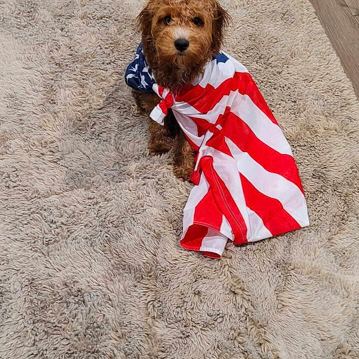Chloe