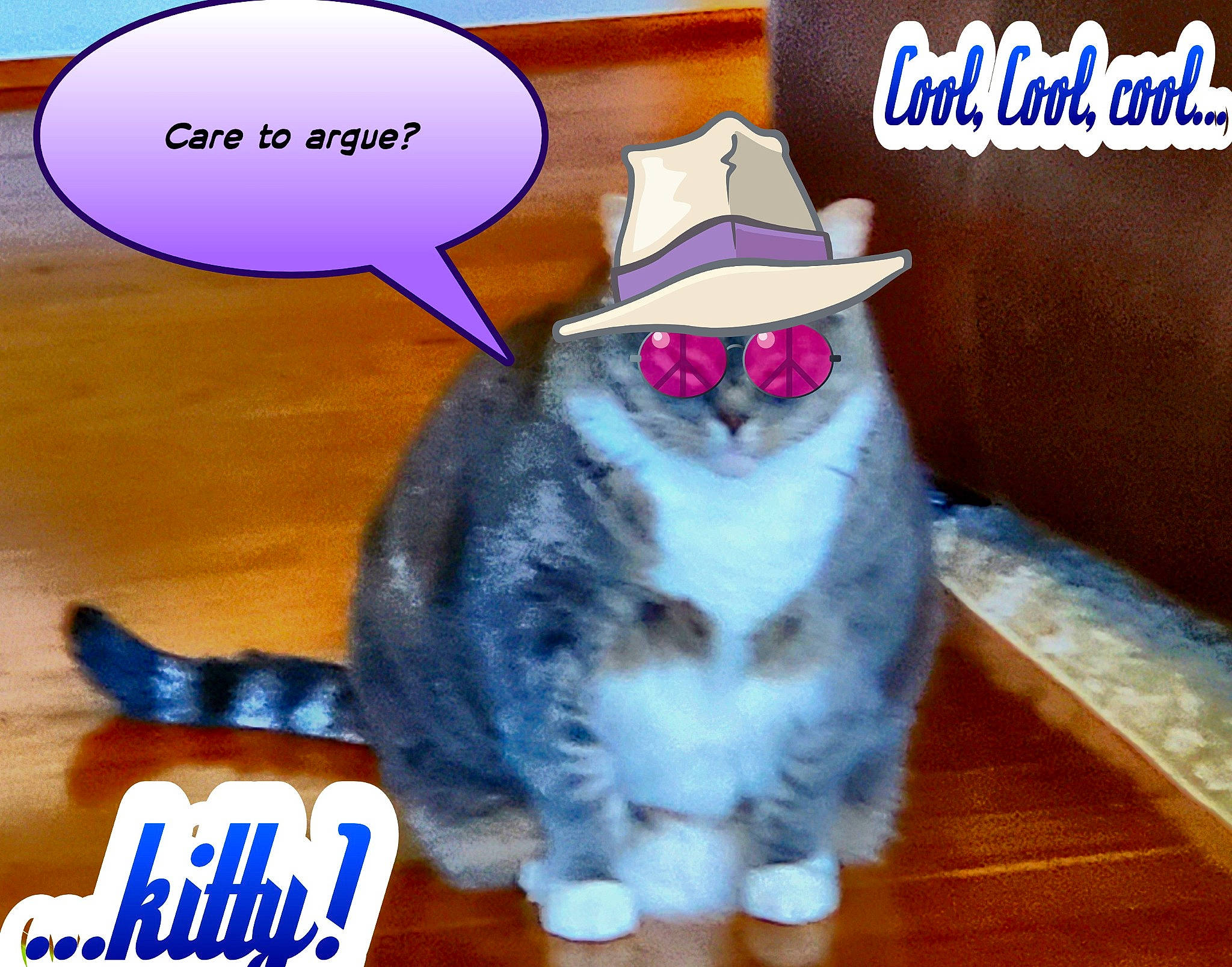Fat Cat joined the competition — help win amazing prizes! blue, canidae, carnivore, cat, companion_dog, dog_breed, electric_blue, felidae, flooring, font, fur, happy, hat, paw, photo_caption, small_to_medium_sized_cats, tail, toy, violet, whiskers