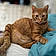Jonesy