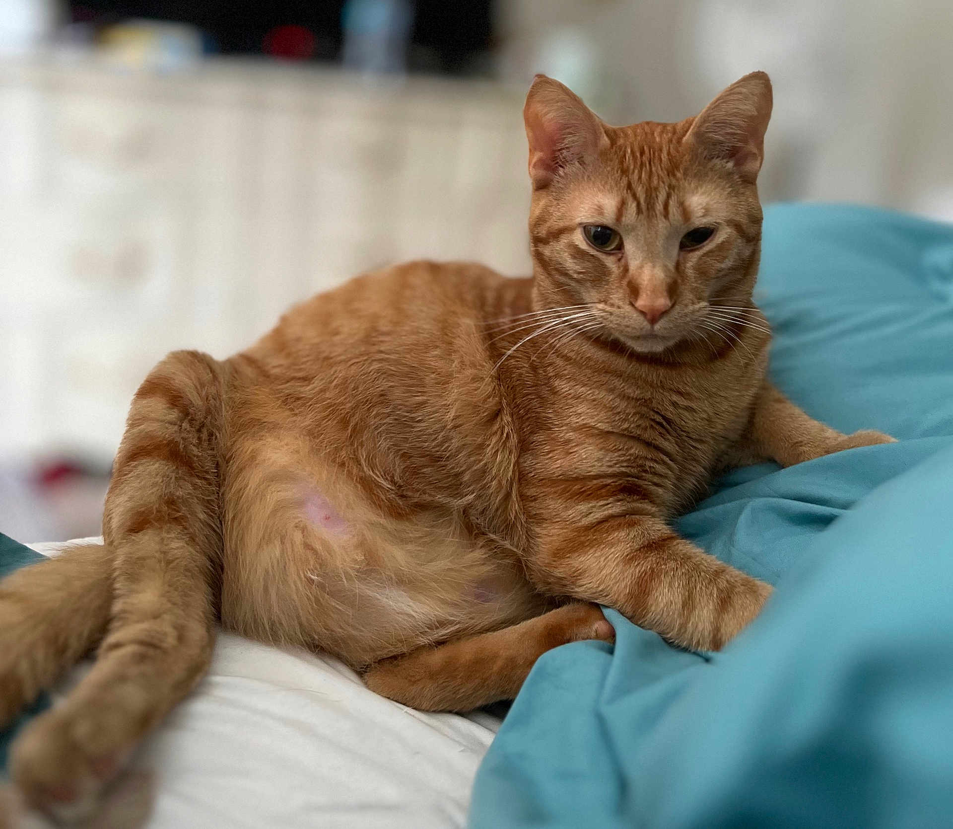 Jonesy