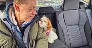Cinnamon is registered to the contest to win money with this photo: animal, backseat, car_interior, cozy, cuddle, cupholder, dog, happy, headrest, human, jacket, love, man, pet, seatbelt, small_dog, transportation, travel, warm_clothing, window
