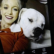 Falcore is registered to the contest to win money with this photo: woman, dog, selfie, smile, face, pet, indoor, phone_screen, app_interface, white_dog, portrait, cozy, casual, closeup, technology, faceapp, human, animal, friendship, relaxation