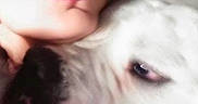 Falcore is registered to the contest to win money with this photo: woman, dog, face, close_up, pet, affection, portrait, human, animal, white_dog, lipstick, cuddle, intimate, love, companion, indoor, head, skin, expression, nuzzle