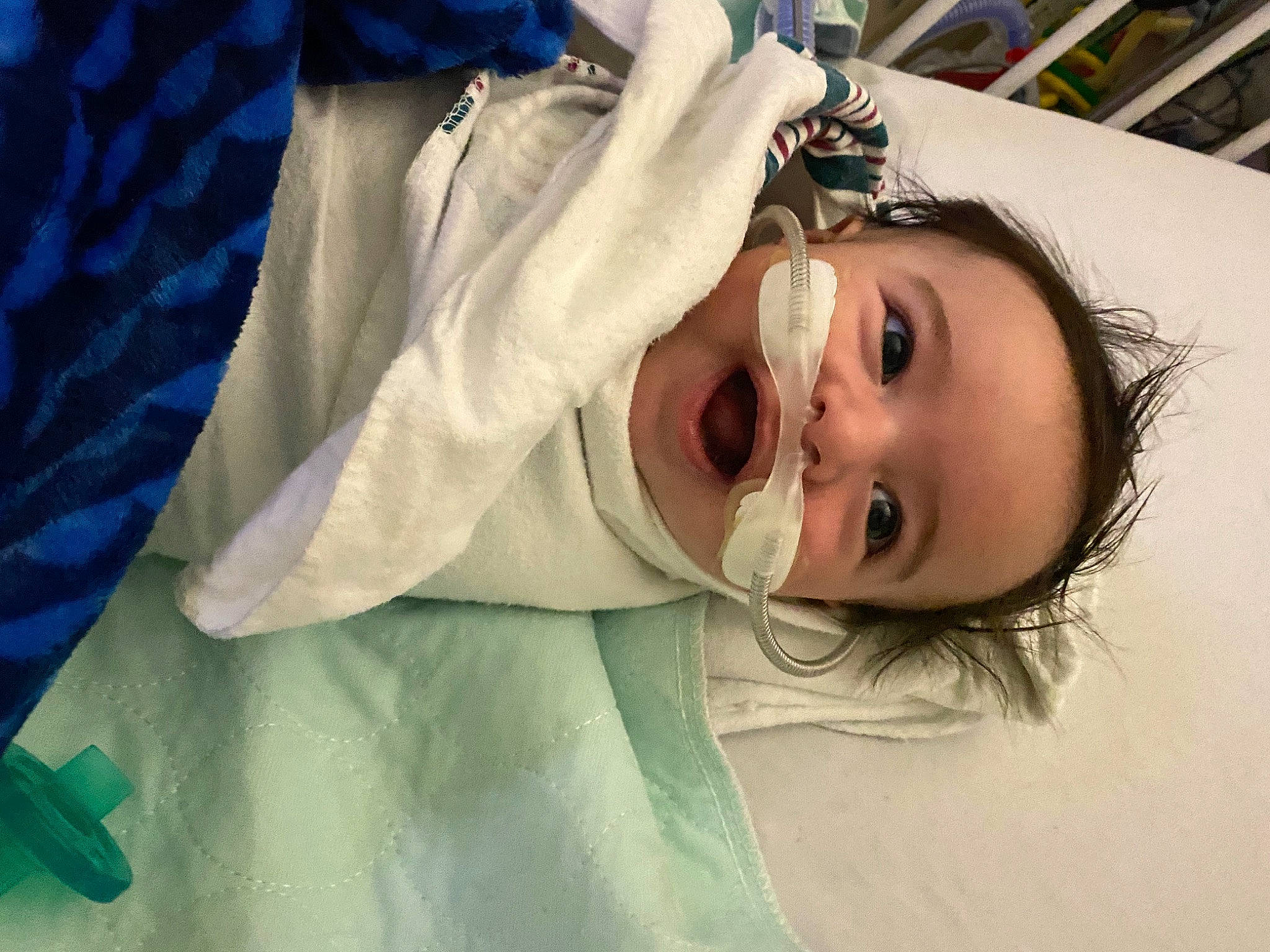 Achilles joined the competition — help win amazing prizes! baby, child, comfort, eyelash, fun, fur, happy, iris, linens, lip, nose, person, portrait_photography, room, skin, sleeve, smile, toddler