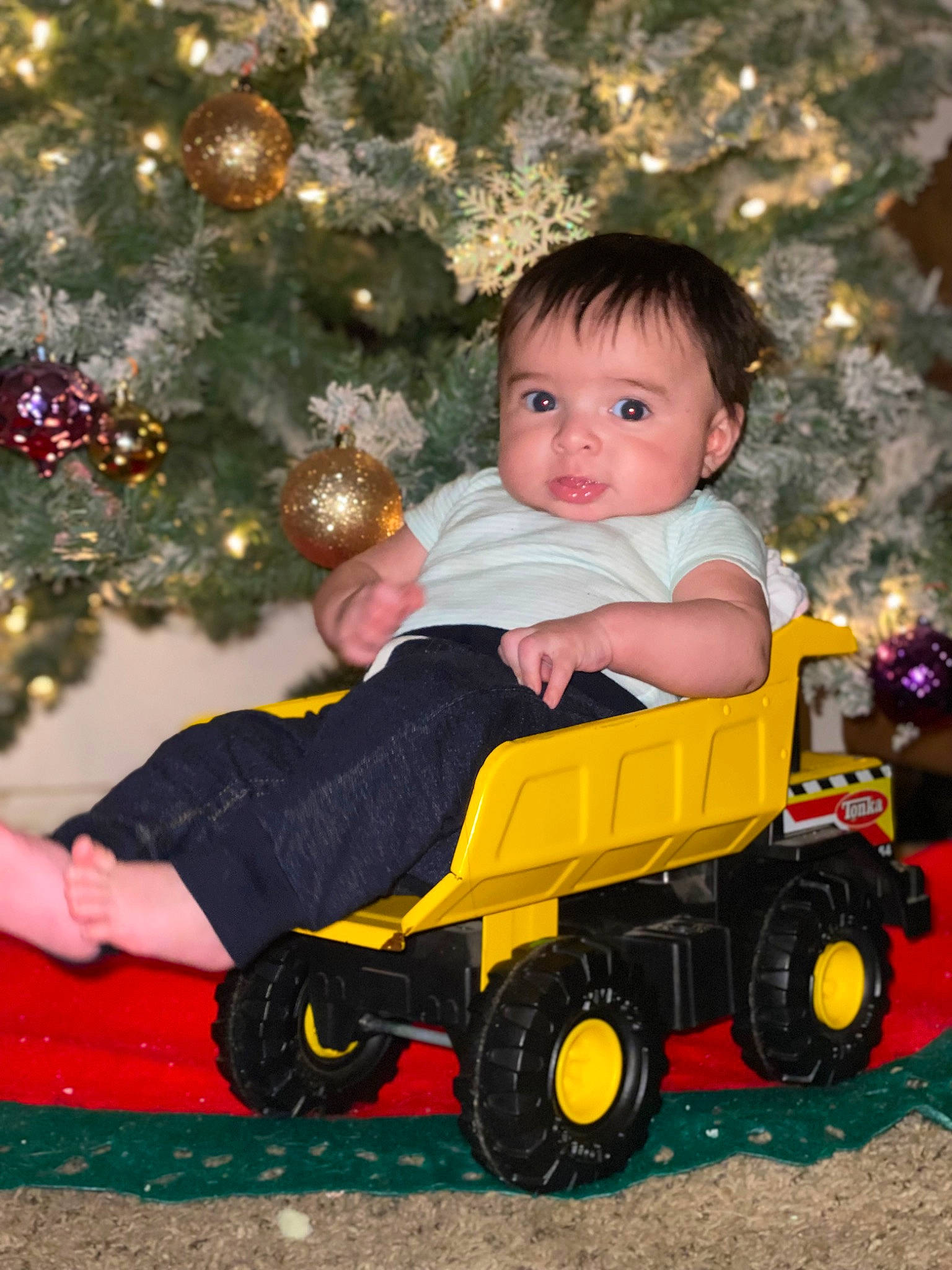 Achilles joined the competition — help win amazing prizes! baby, baby_toddler_clothing, child, christmas_decoration, christmas_ornament, christmas_tree, eye, face, fun, happy, head, human_body, people_in_nature, person, photograph, tire, toddler, toy, tree, vehicle